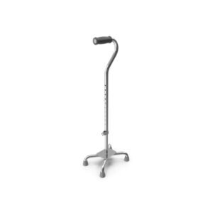 Cane for Walking
